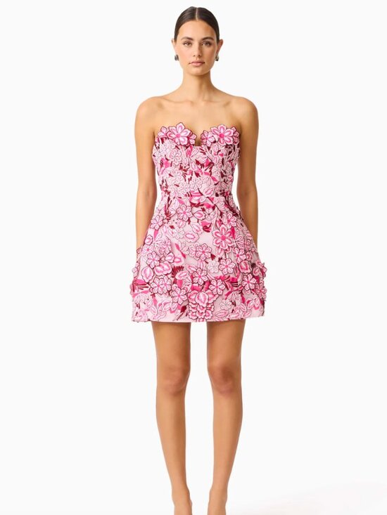 Elliatt Dresses & Skirts - ELLIATT Roseate Floral Mini Dress in Pink